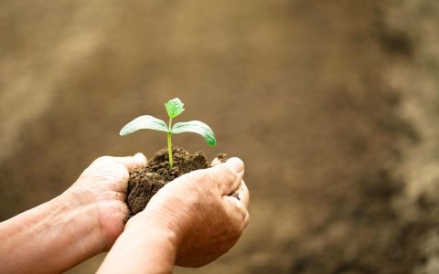 3年斥資270億元打造韌性農業 農水路占大宗